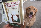 MyDogLikes reviews "What Kind of Dog am I?" This is an adorable children's book about rescued dog Posha that has a great message.