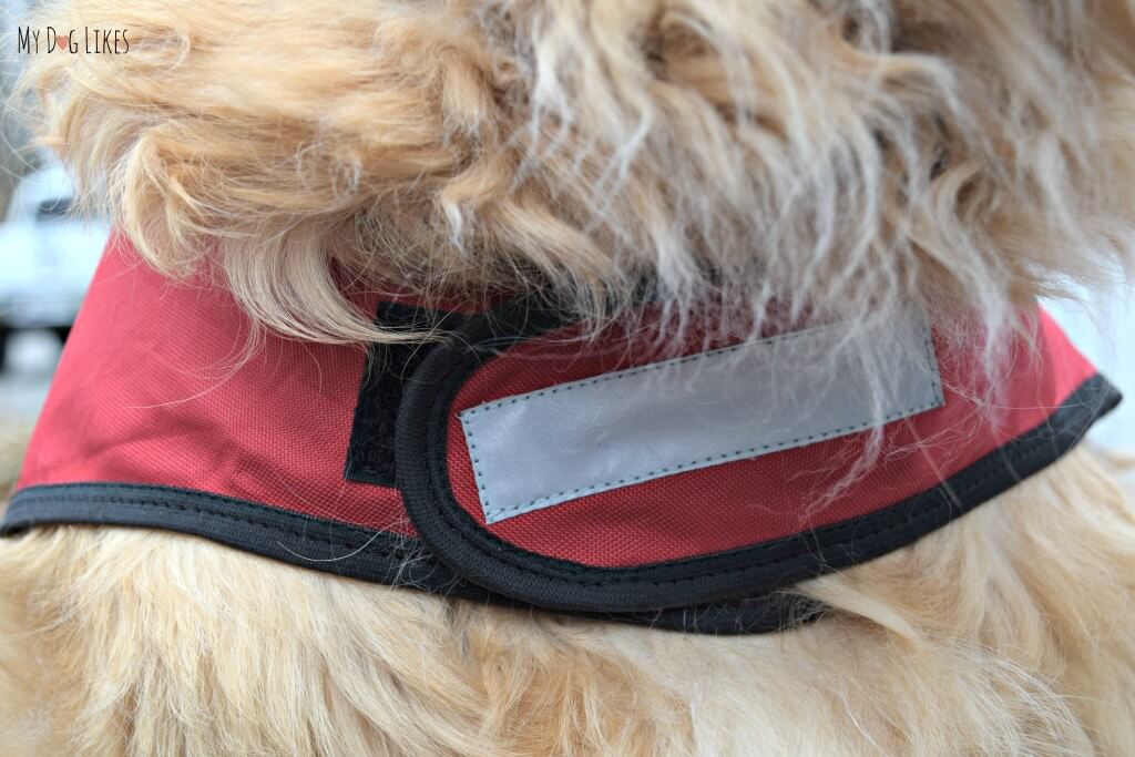 The adjustable chest strap made the PooBoss extremely convenient to take on and off and even switch between dogs