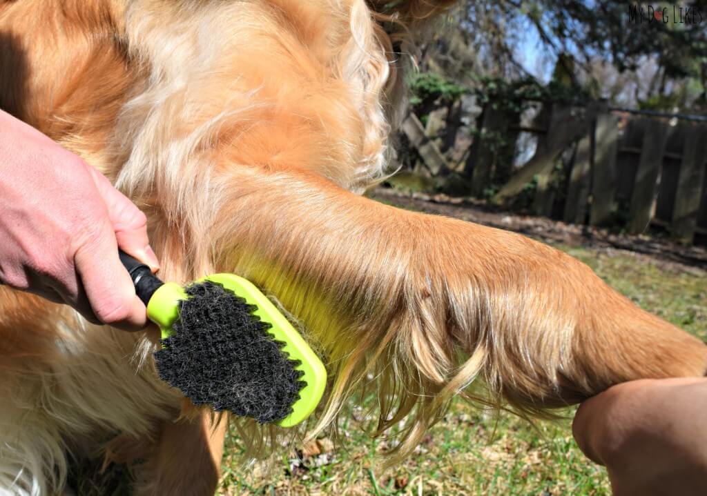Grooming our Golden Retrievers with the FURminator Dual Brush