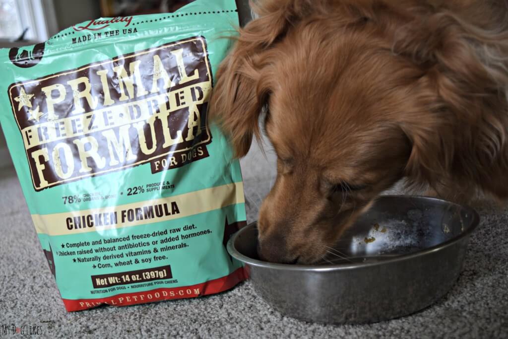 MyDogLikes reviews Primal's freeze dried raw formula in our latest look at the BARF Diet!