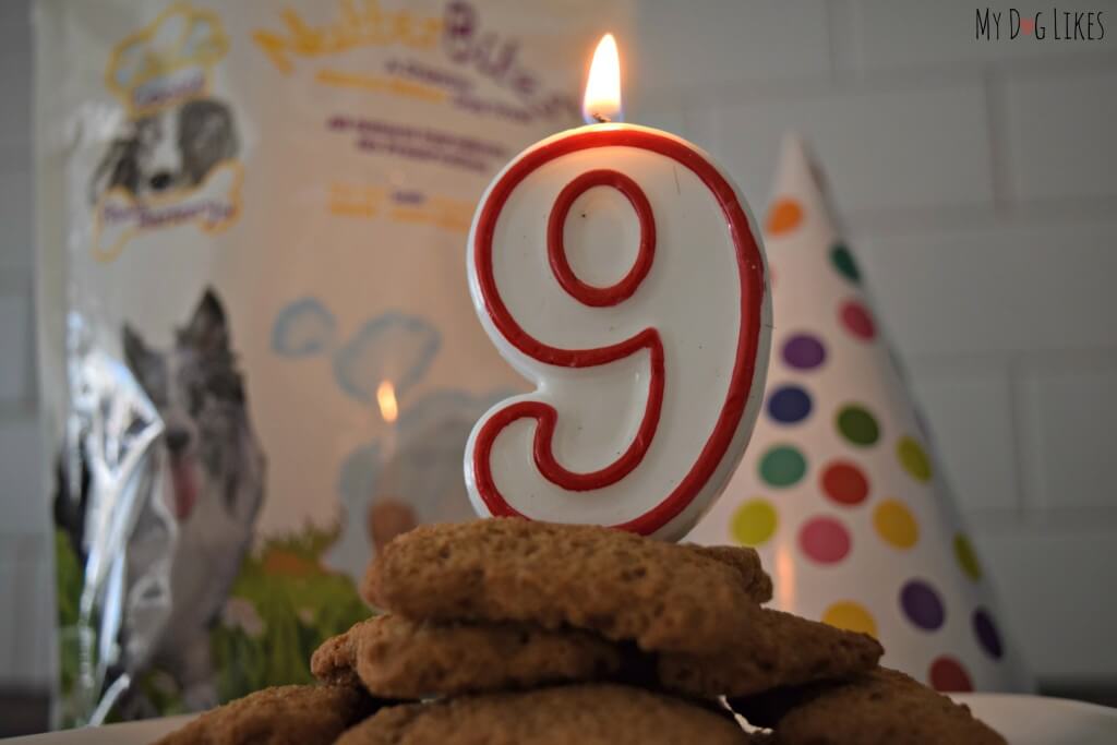 Our Dog Birthday Cake made of Paws Barkery biscuits!