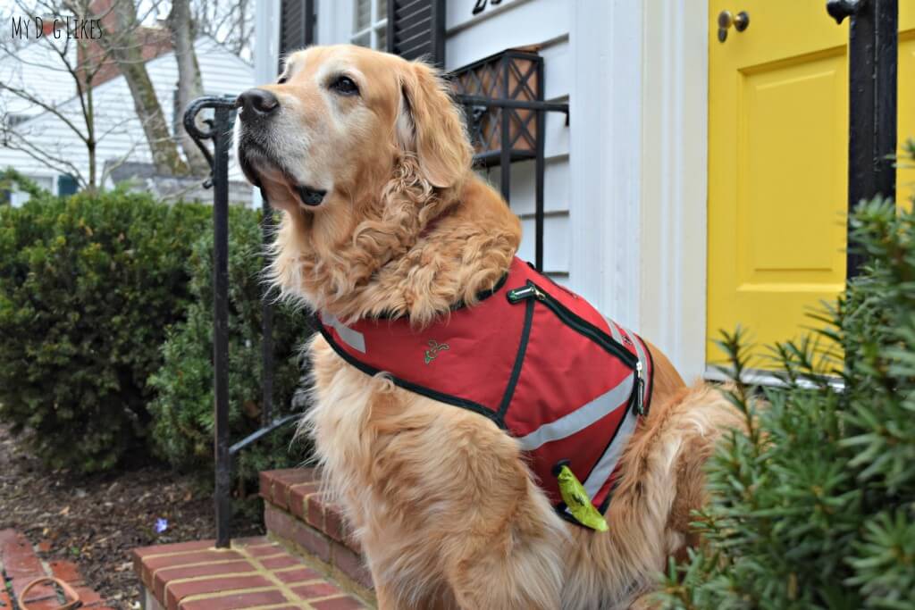 The K9 Utility Vest from PooBoss comes with a built in Dog Poop Bag Dispenser!