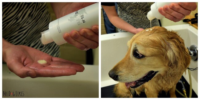Testing out Isle of Dogs Shampoo at the PetSaver Superstore self wash station for the official MyDogLikes review!