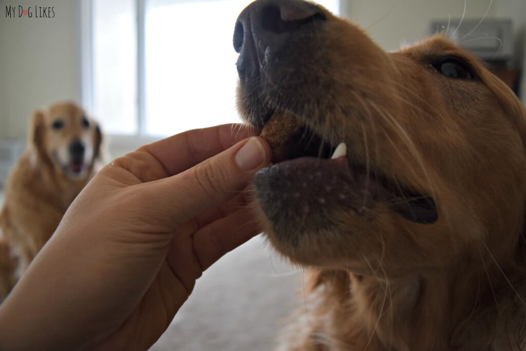 According to our expert taste testers, Merrick makes some of the best dog treats!