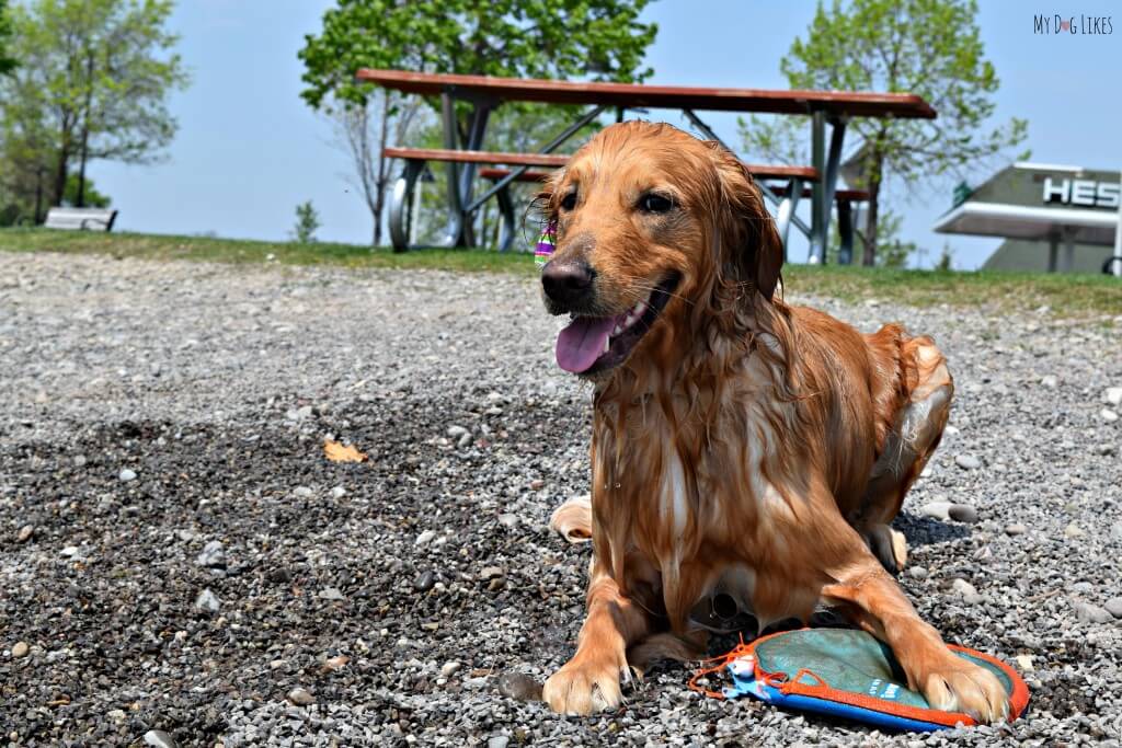 Charlie at Kershaw Park in Canandaigua