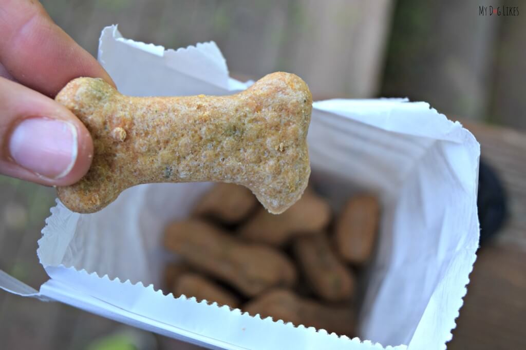 Cheesy Dog Biscuits from Doghouse Biscuits