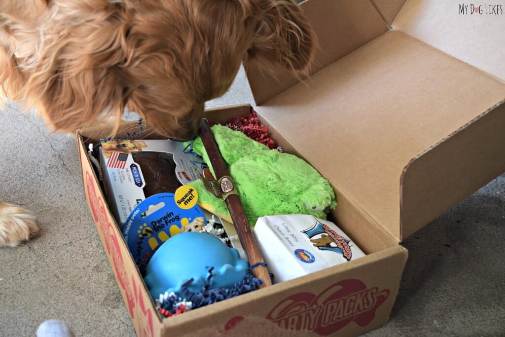Looking for the best dog subscription box? So is Charlie! Browse MyDogLikes review database before you buy!