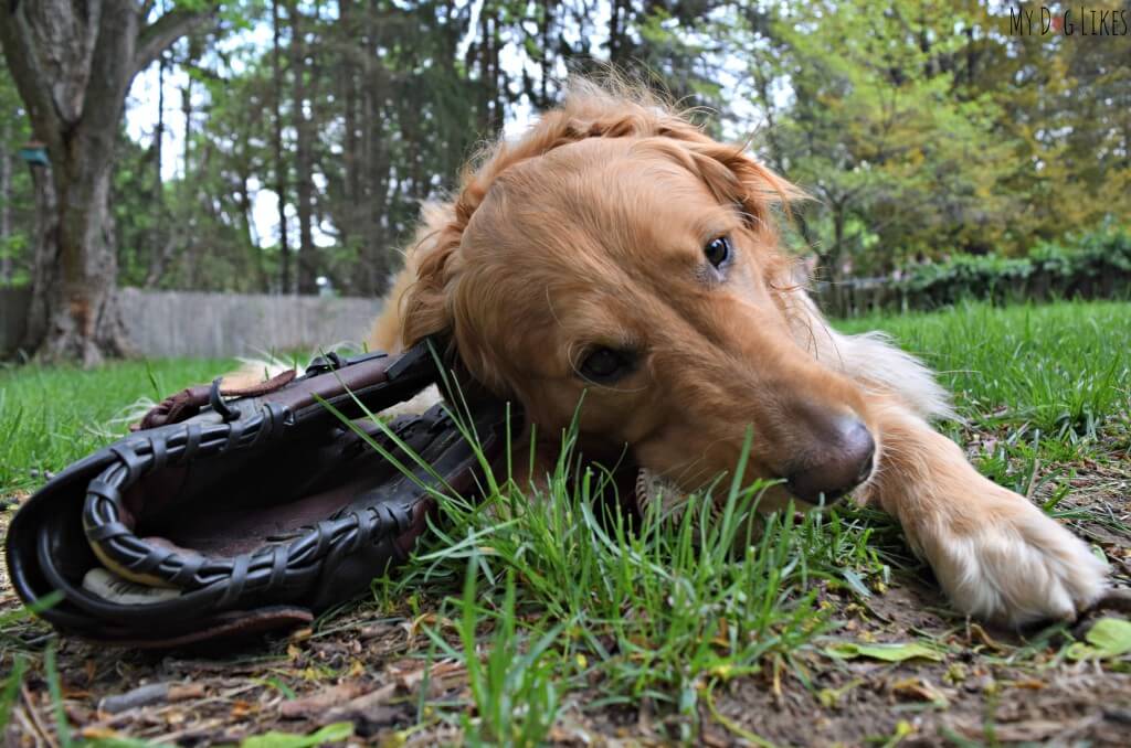 That's not how you play Baseball, Charlie!