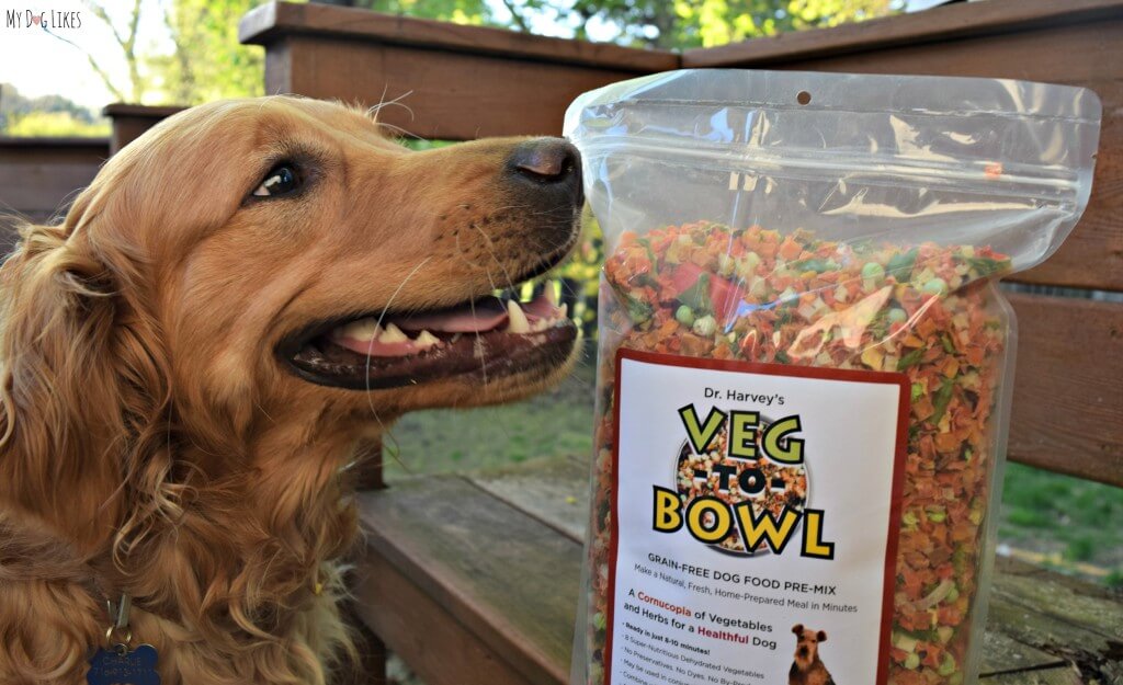 Reviewing Veg to Bowl grain free dog food pre mix