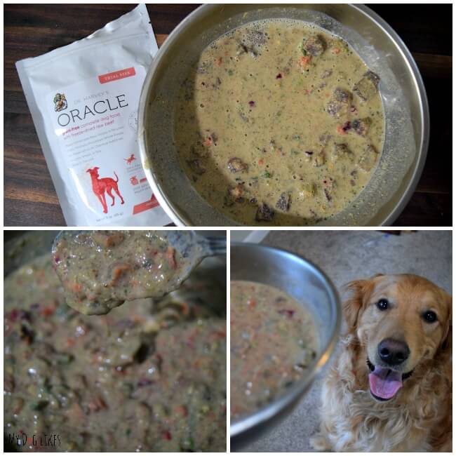 Preparing our samples of Oracle Dog Food from Dr. Harveys. All you need to do is add warm water and wait!