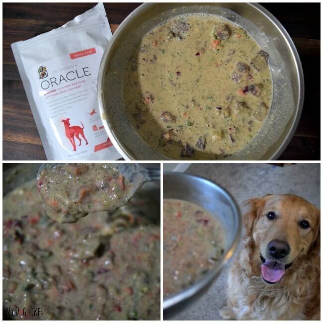 Dr harvey's store dog food reviews