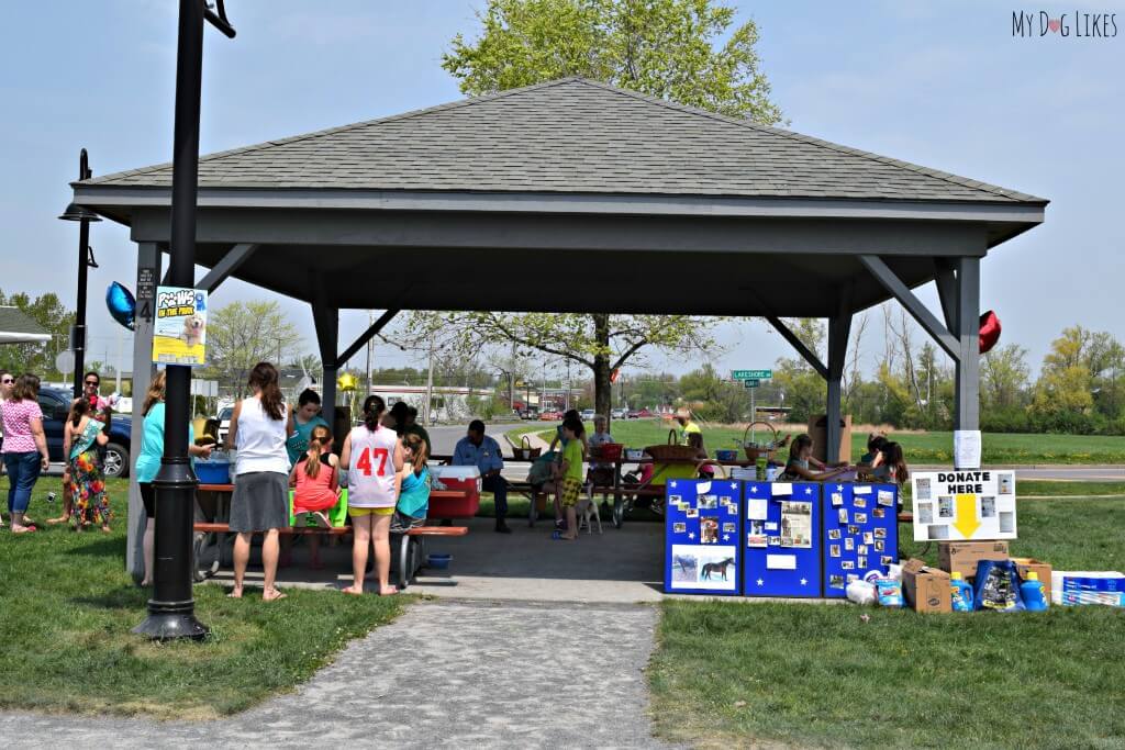 A pavilion at Kershaw Park in Canandaigua was a great spot for the Paws in the Park event!