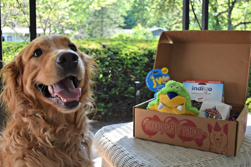 Check out our Pooch Party Packs review to see how they stack up in the dog subscription box market