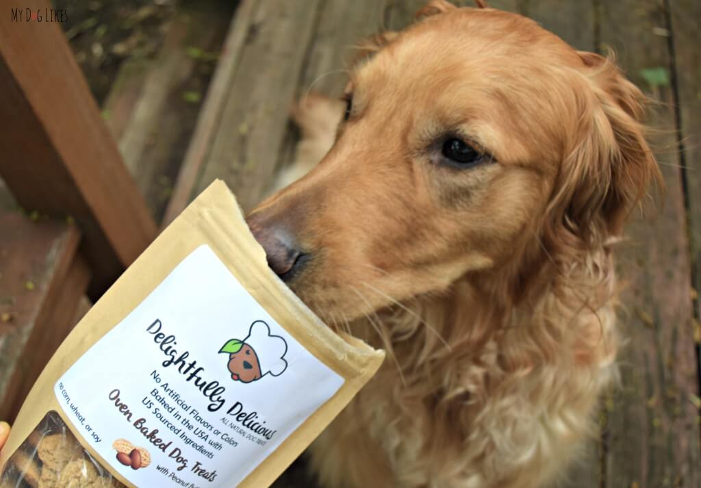 Charlie getting a sniff of some Delightfully Delicious peanut butter dog treats!