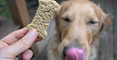 Looking for the best dog treats? Browse MyDogLikes huge database of dog treat reviews and find something healthy and delicious!