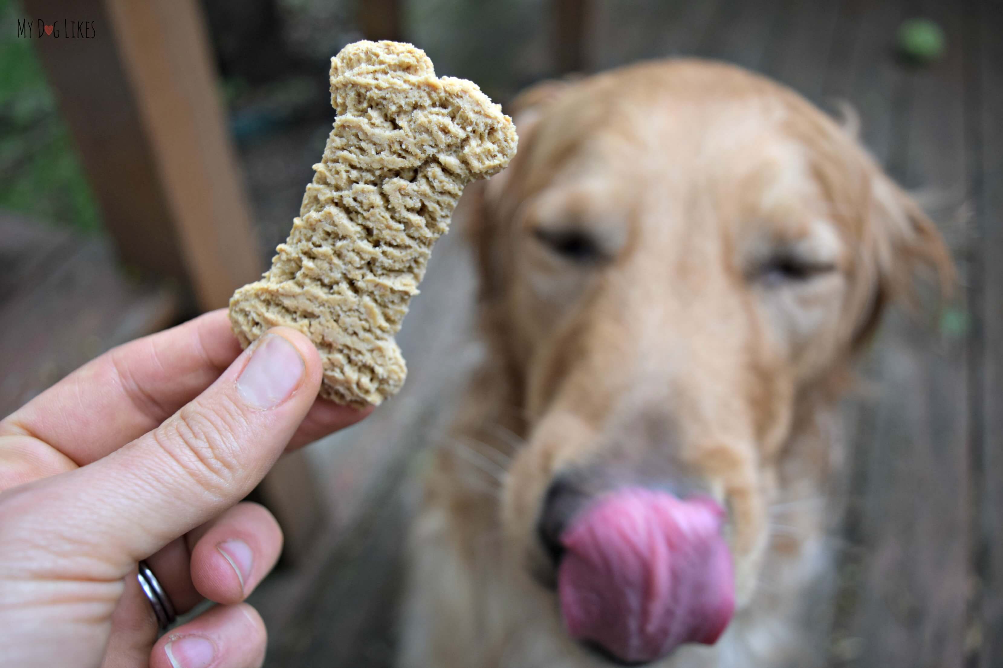 Pets First MLB Philadelphia Phillies Baseball Dog Treats, Delicious Cookies  for Dogs, Baseball Reward for the Sporty PUP