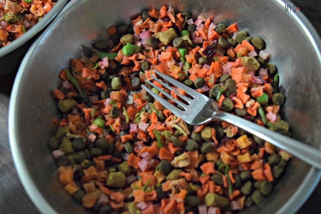 Supplementing our boys kibble with Dr Harveys Veg-to-Bowl.