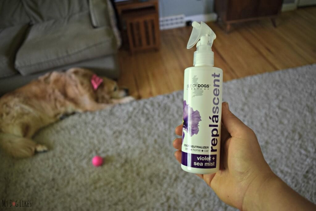 MyDogLikes reviews Isle of Dogs Replascent - violet and sea mist fragrance