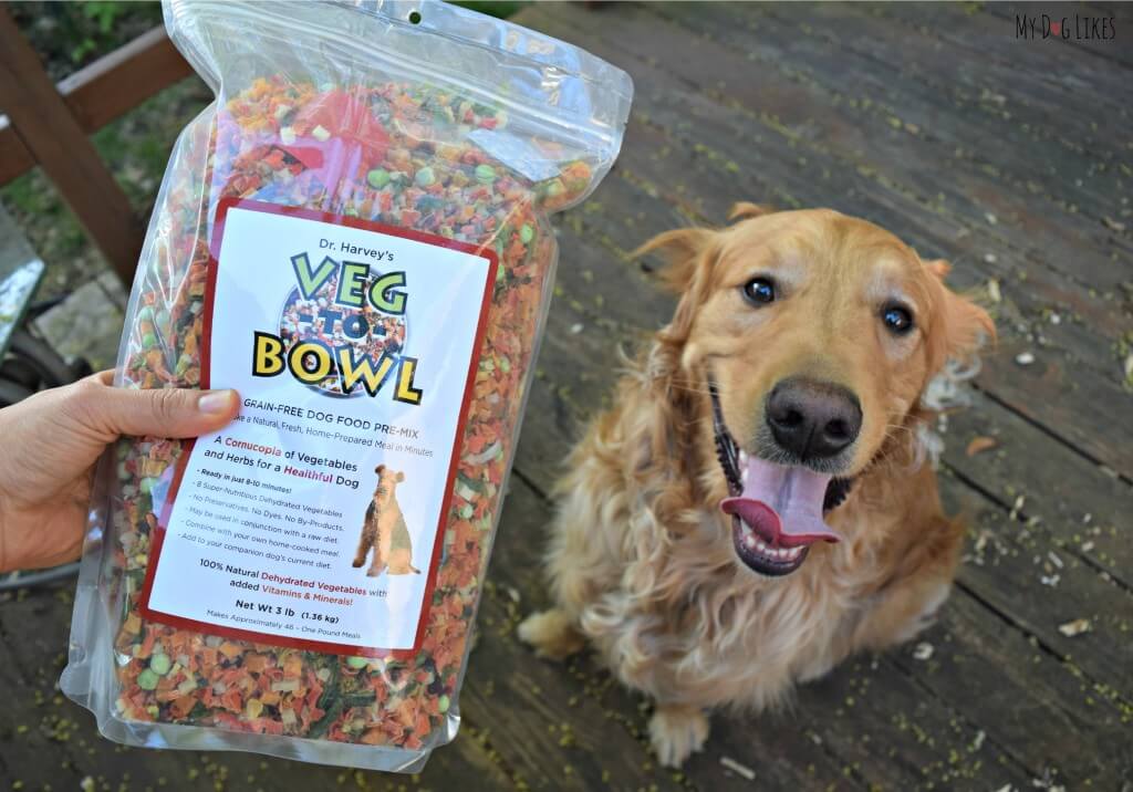 See what Charlie thought of the Dr. Harvey's Veg to Bowl grain free pre-mix in the official MyDogLikes review!