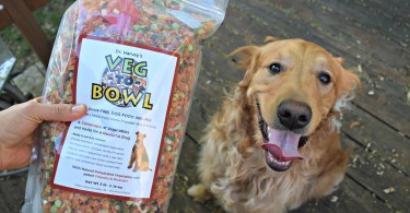 See what Charlie thought of the Dr. Harvey's Veg to Bowl grain free pre-mix in the official MyDogLikes review!