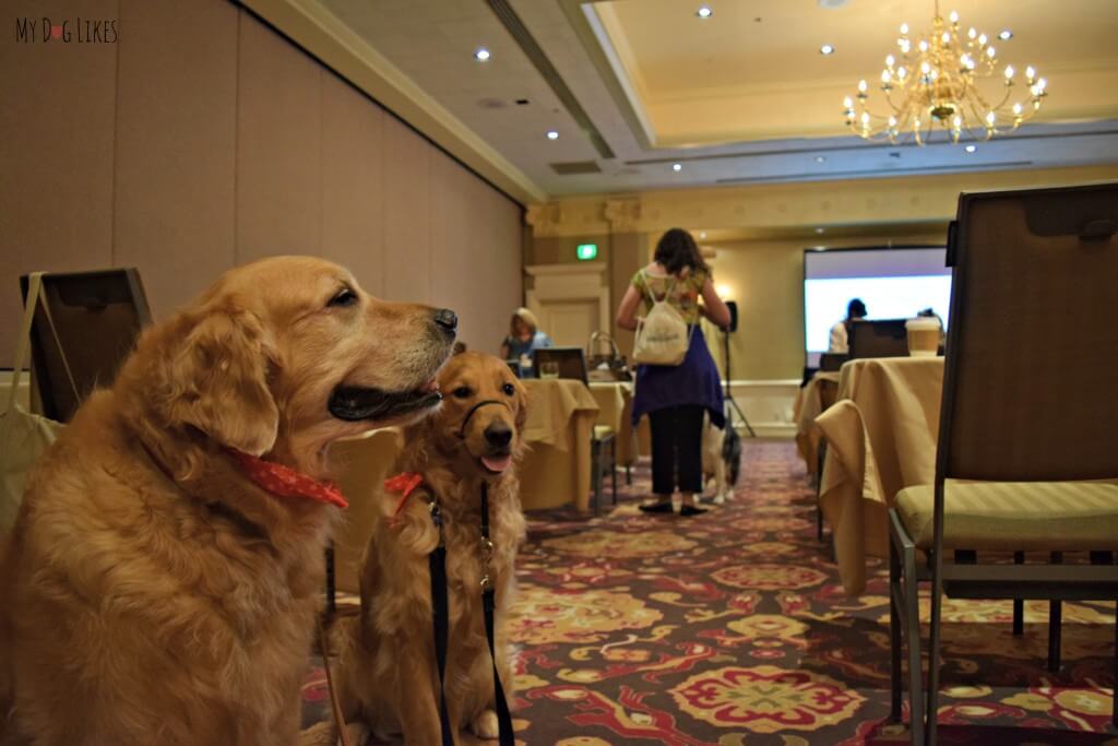 Harley and Charlie at last years BlogPaws conference