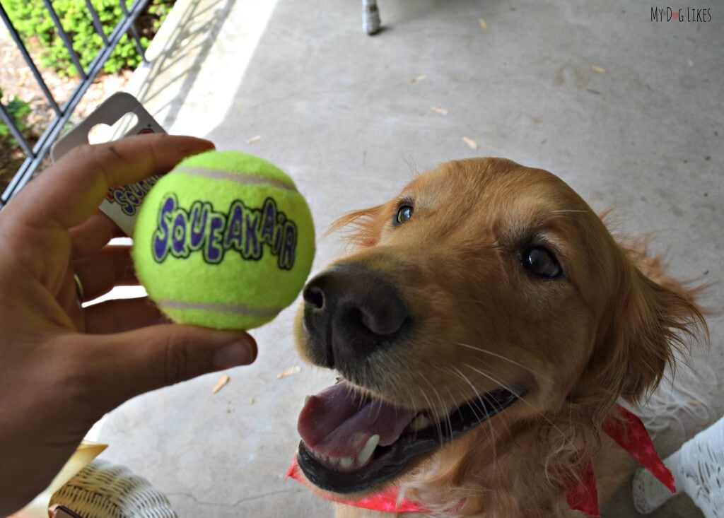 Kong makes our favorite dog tennis ball