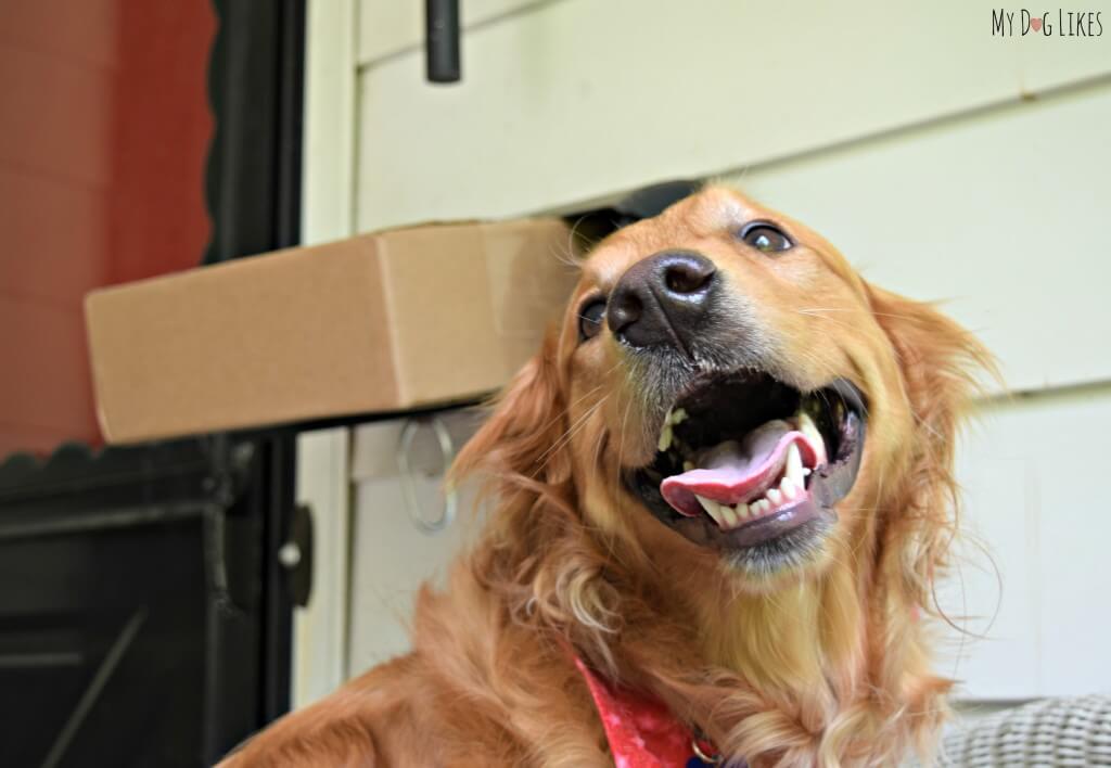 Charlie is ecstatic to see that a package has arrived for him!