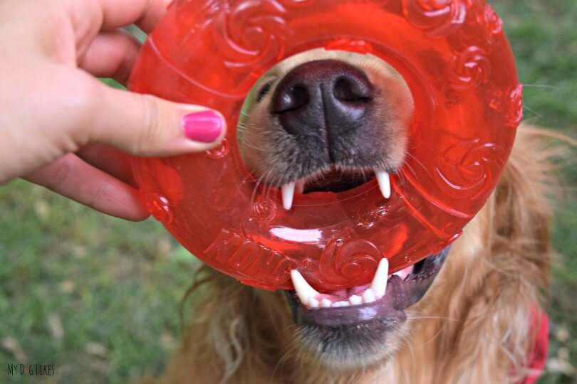 Visit MyDogLikes for the most comprehensive dog toy reviews on the web