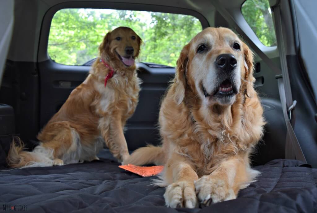 Our boys are now riding in style with a 4Knines SUV cargo liner