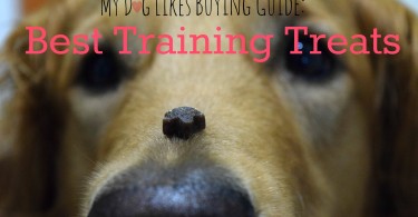 A high value and low calorie treat is key to successful dog training. Click here to read MyDogLikes official list of the best dog training treats!