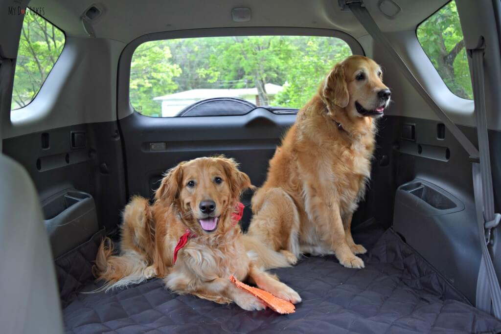 MyDogLikes reviews the 4Knines SUV cargo liner for dogs. See what Harley and Charley thought of this full featured cover!