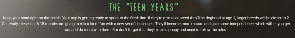 The "teen years" can be some of the most challenging times in dog obedience training!