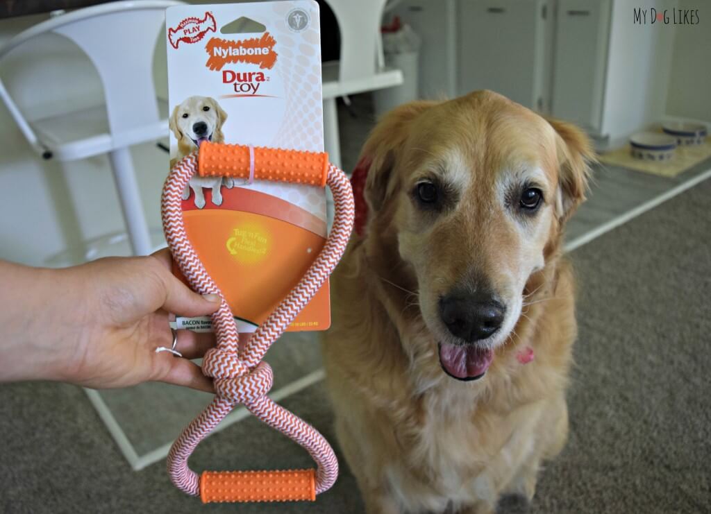 MyDogLikes reviews the Nylabone Dura tug toy from our Paw Pals with Annie subscription box