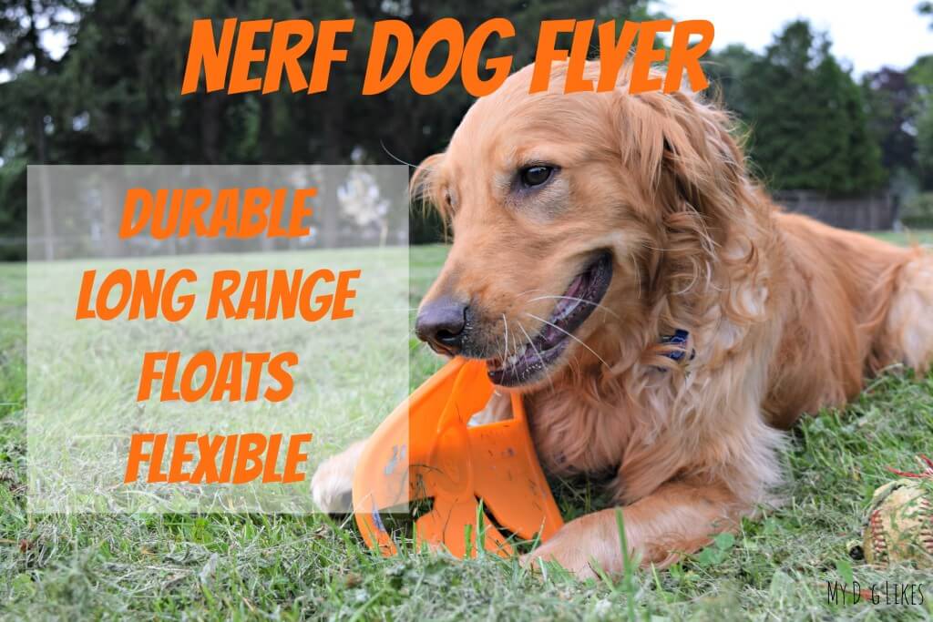 MyDogLikes highlights all the best features of the NERF Dog Frisbee in our official review!