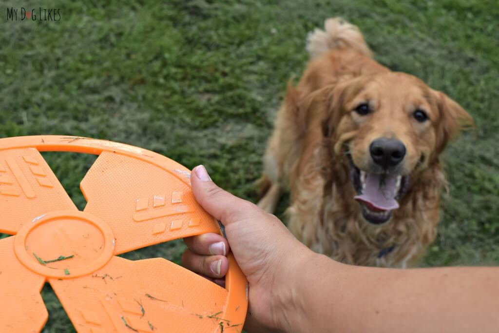The slots in the NERF dog frisbee make it easy to grip and throw