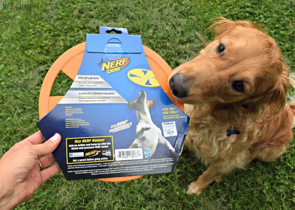 Charlie is so excited that he doesn't want to wait for us to unwrap the frisbee before playing!