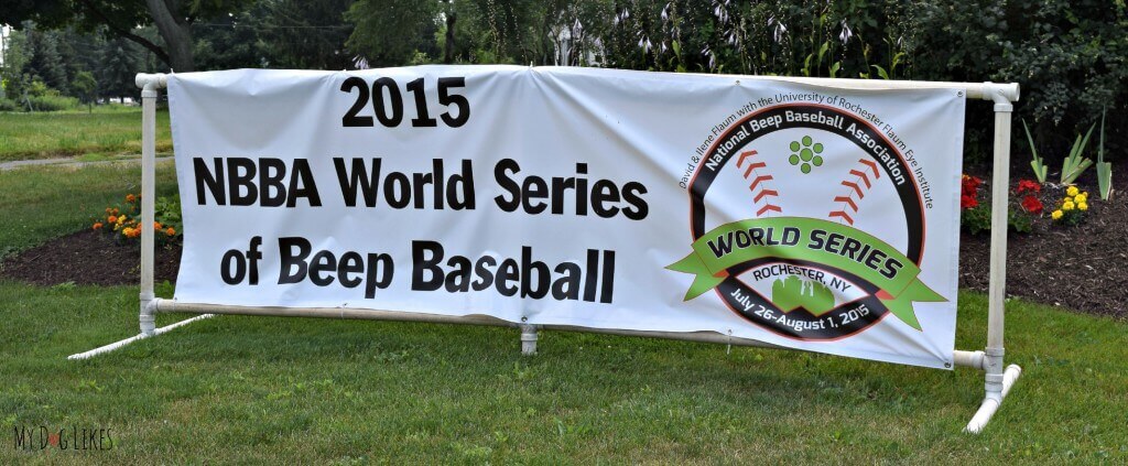 The 2015 NBBA World Series was held in Rochester, NY