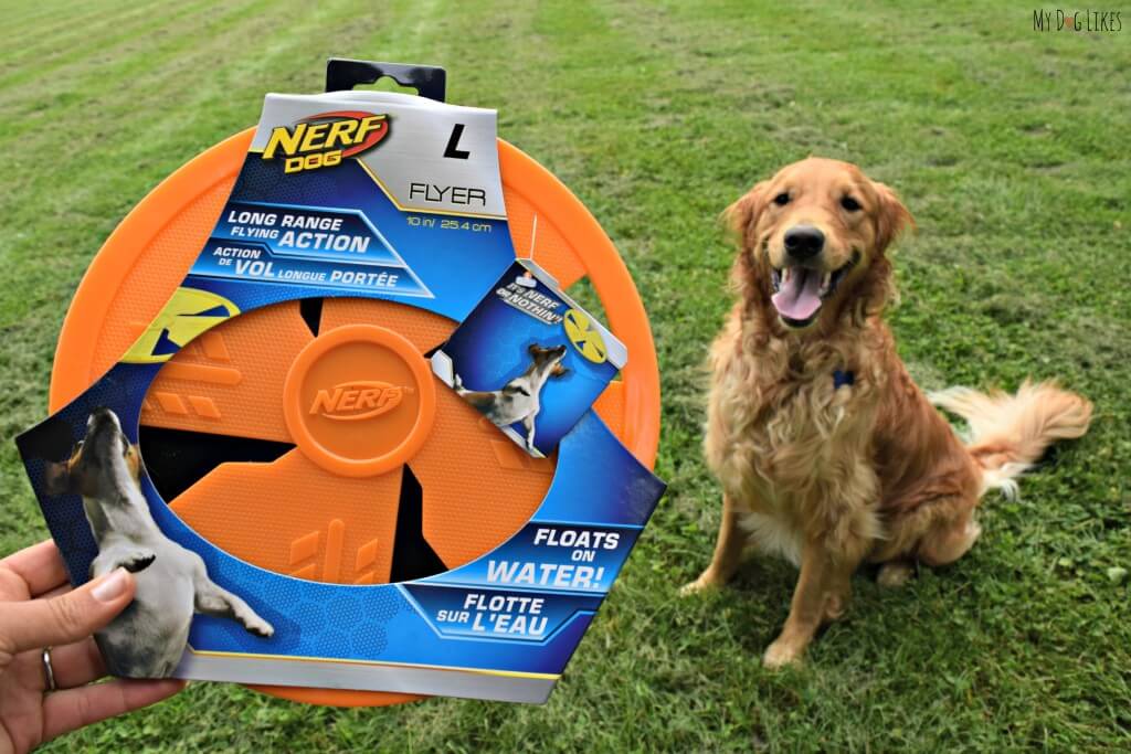 See what Charlie thought of the NERF dog flyer in the official MyDogLikes review!