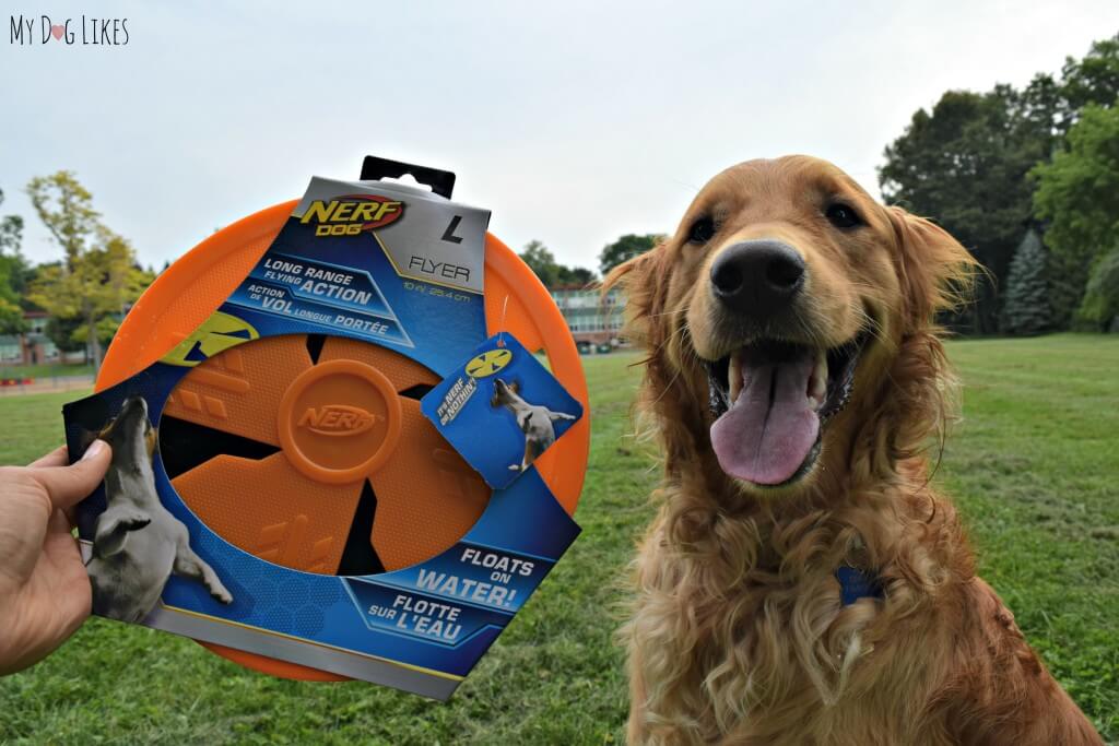 NERF Dog Nation: Long Range Flyer Review