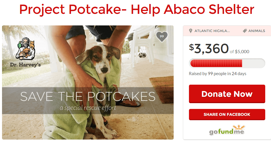 Dr. Harvey's is hosting a GoFundMe campaign to raise money for the Abaco Shelter in Abaco Bahamas. Please consider making a donation to help these sweet Potcake dogs!