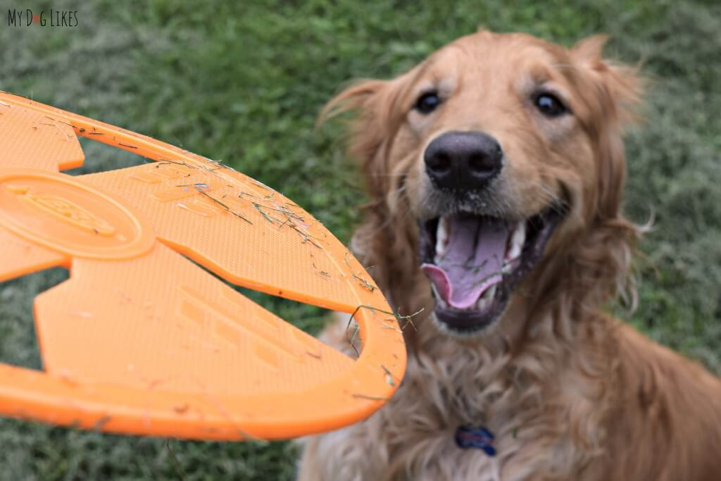 A little bit of grass is no big deal because this NERF frisbee is so easy to clean.