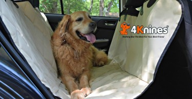 Harley enjoying his 4Knines Dog Car Seat Hammock