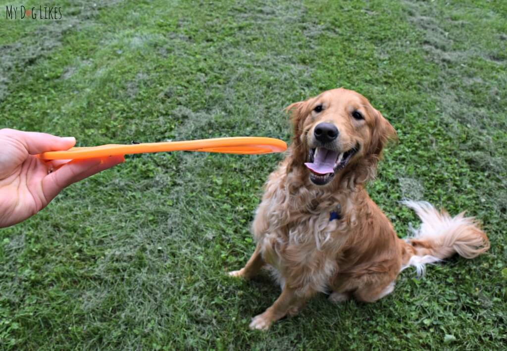 From this side view of the NERF dog frisbee, you can see that it is about a quarter inch thick and flexible.