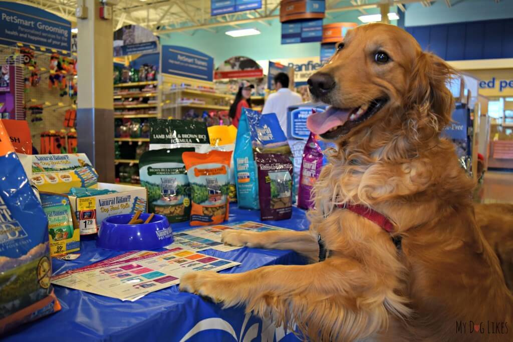 Charlie learning more about Natural Balance's high quality dog food and treats!