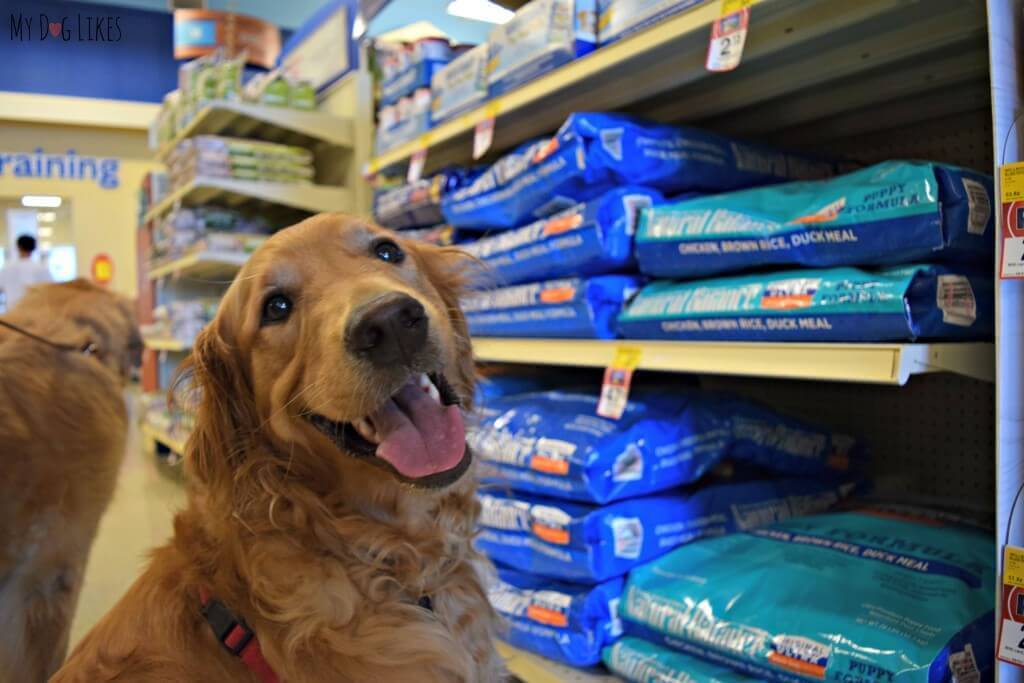 Browsing the selection of Natural Balance Pet Food at our local PetSmart!