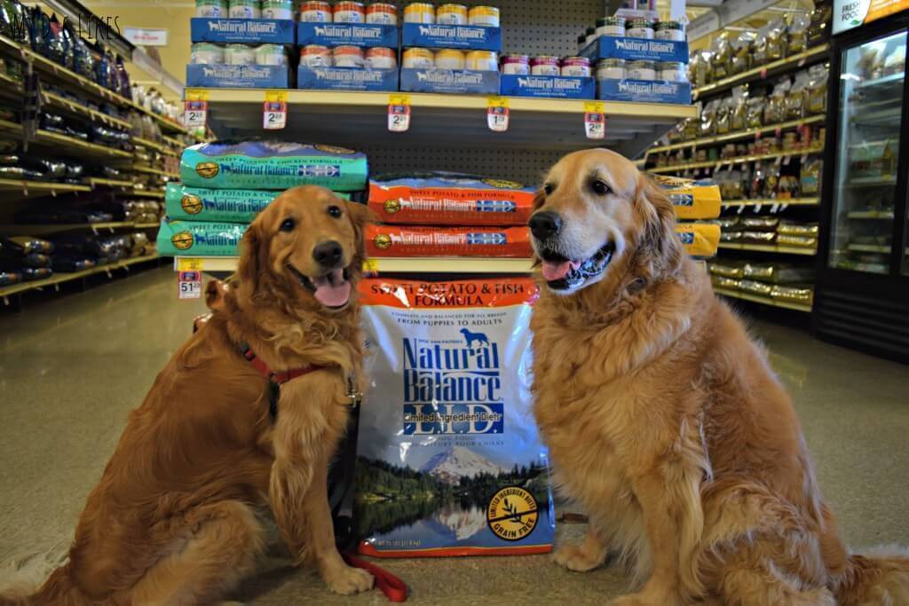 Harley and Charlie posing with their favorite Natural Balance Dog Food at PetSmart!