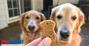 Did you know that Natural Balance is now available at PetSmart? Check out our #petsmartstory to see their great selection of dog treats!