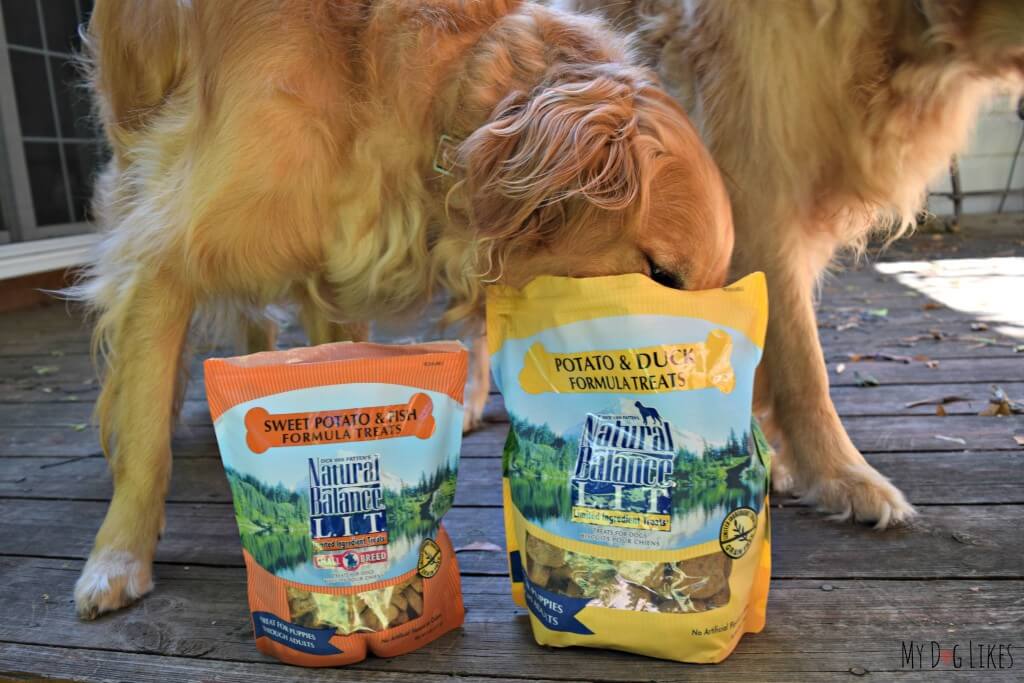 Charlie can't wait to taste these new Limited Ingredient Dog Treats from Natural Balance