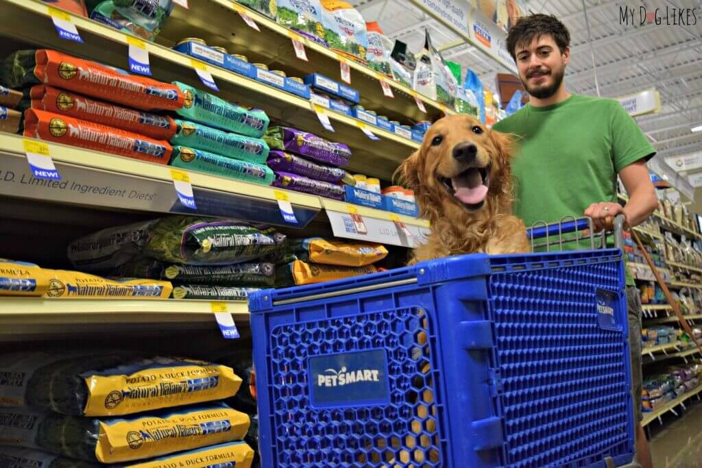 Looking for stores that allow dogs? Check out your local PetSmart! Here is Charlie riding around in the cart and doing a bit of shopping!