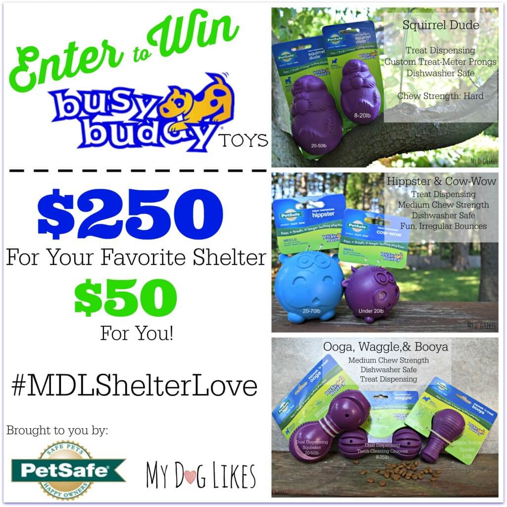 Check out the latest Giveaway from MyDogLikes: Win $250 of toys for your favorite shelter and $50 for yourself!